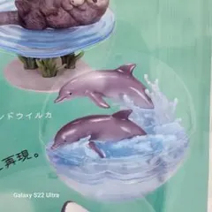 Item thumbnail for item a11f825a-3b07-4000-98a1-ee046051c173