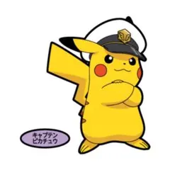 新品★ポケットモンスター【ピカチュウ】ポケモンパン★デコキャラシール★第204弾