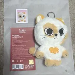 BOYNEXTDOOR BBNEXDO ソンホ プネクド キーリング