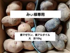 みぃ様専用！俵アルタイル、俵マゼランじゃがいも大計10㎏