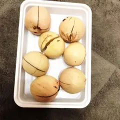 아보카도 씨앗 7 개 “곧 뿌리를 내리고 싹이 트게 될 것입니다!”