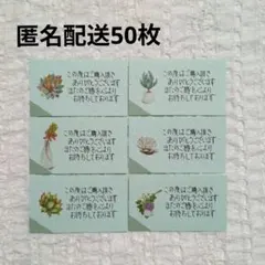 手書き サンキューカード メッセージサンクス 薄緑×多肉植物50枚【匿名配送】