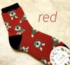 Item thumbnail for item 0521d0bf-0f66-46c9-a719-7f128c901a9f