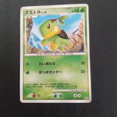 2026年最新】ナエトル プロモの人気アイテム - メルカリ