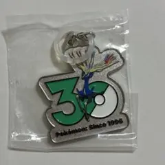 ポケモン 30周年 メタルチャームマスコット 〜シンオウ、イッシュ、カロス〜