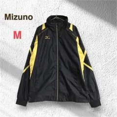 Item thumbnail for item ee9b0689-862f-4c86-8689-e8f694c49218