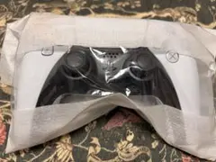 PS5 コントローラー dual sense