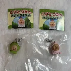 こびとづかん めじるしマスコット カクレモモジリ スモモノウチ　2点セット