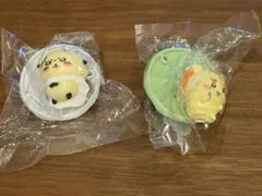 チョコサプ ラッコ シーサー 2種セット