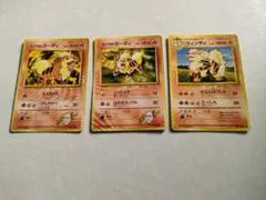 ポケモンカード 旧裏 カツラのガーディ ウィンディ 3枚セット