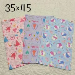 ランチョンマット 35×45 3枚セット　プリンセス柄　女の子用　女子　給食用