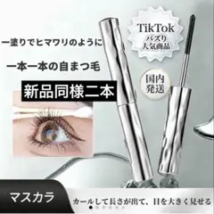 新品同様　２点セット　マスカラ カール ロング 持続力 シルバーパッケージのサムネイル