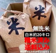 無洗米 白米 20キロ 送料込 精米済 米20キロ 米20kg - メルカリ
