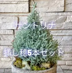 こまさん様 リクエスト 3点 まとめ商品