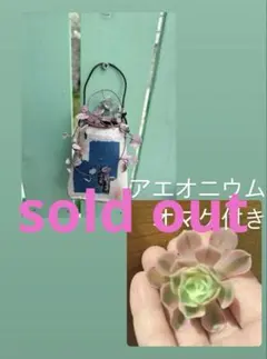 グリーン斑入りネックレスエンジェル3種リメイク缶オマケ付き - メルカリ
