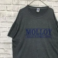 USA製90sヴィンテージTシャツ！シングルステッチグレー古着XL0520