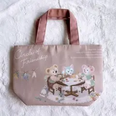 【新品】東京ディズニーシー　サークルオブフレンドシップ　ランチケース