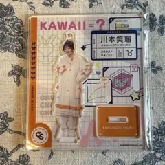 タワレコカフェ　川本笑瑠　アクスタ　写真セット