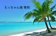 えっちゃん様 専用