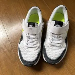 NIKE エアマックス 18.5のサムネイル