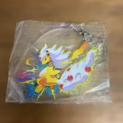 ポケモン発見大作戦メガデンリュウアクリルチャーム