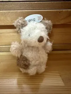 2026年最新】jellycat ジェリーキャット いぬの人気アイテム - メルカリ