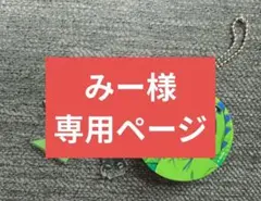 みー☆(*´ω｀*)様専用ページ