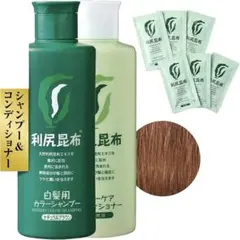 N☆新品送料無料/ Sastty カラーシャンプー＆カラートリートメント セットのサムネイル