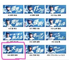 田宮裕涼　北海道日本ハムファイターズ　選手メッセージタオル