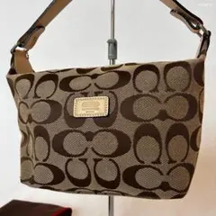 【極美品/保存袋付】コーチ シグネチャー ジャカード ワンハンドバッグ 肩掛け