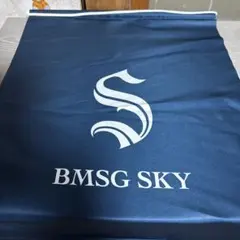 Item thumbnail for item 31312170-2036-4f26-a23b-cd5cca884768