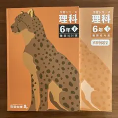 Item thumbnail for item b5c6acf6-36b3-4ca0-858b-5fbe196b4617