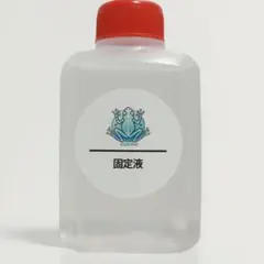 透明標本作製キット 【透明化液】 100ml - メルカリ