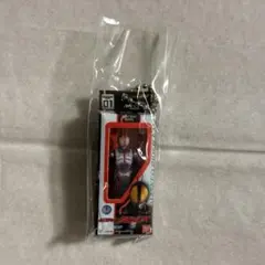 仮面ライダーソフビパッケージチャーム&チョコスナック　仮面ライダーファイズ ①