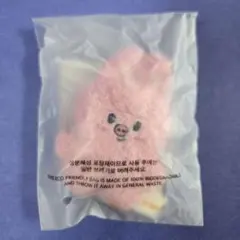 STRAYKIDS 5clock skzoo マイクロ キーリング トゥエッキ