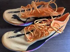 Item thumbnail for item 7a2a443d-6d47-44b9-95fc-30bc9d9e71f9