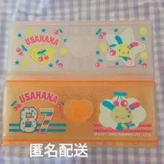 超希少 サンリオ USAHANA ウサハナ レターケースケースセット 03年製