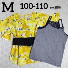 Item thumbnail for item a2a09a3e-6bbe-46dc-bc0d-b2495b1ed238