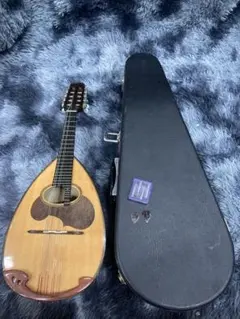 Item thumbnail for item 83c2ce9d-2cd8-4b9c-94f6-7c7d88554fcc