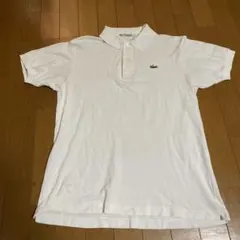 ラコステ　ポロシャツ　白　サイズ4