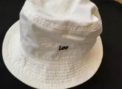 Item thumbnail for item 3b9092c4-0e38-452d-ad8e-63340f7b8040