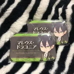 ツイステッドワンダーランド ツイステ ネーム缶バッジ 寮服 マレウス