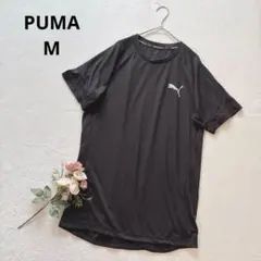 プーマ PUMA 半袖Tシャツ スポーツ ランニング トレーニング 黒 速乾のサムネイル