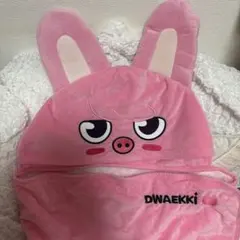 スキズ SKZOO ブランケット DWAEKKI トェッキ チャンビン