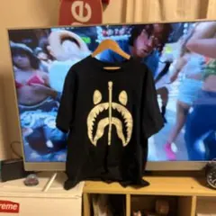 Item thumbnail for item 66d51e63-fa9d-4aa1-980e-c20e7719af85