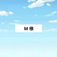 アメステ　M様