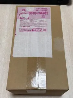 【新品未開封】ポケモンセンターヒロシマ スペシャルBOX 納品書付き