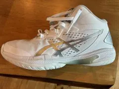 ASICS GEL-HOOP 23.5CM ワイドバスケットボールシューズ