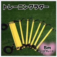 トレーニング ラダー 子供 サッカー フットサル スポーツ 基礎 瞬発力 5m