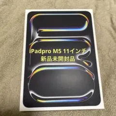 iPadpro M5 11インチ 256GB Wi-Fi シルバー 新品未開封品